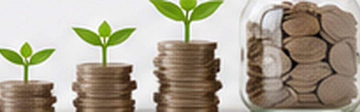 Crowdfunding et financement participatif